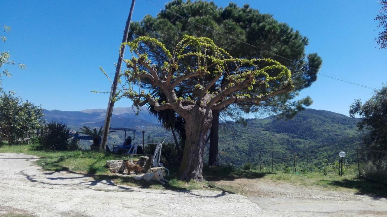 Casa Vacanze Diamante Ogliastro Cilento Eksteriør bilde